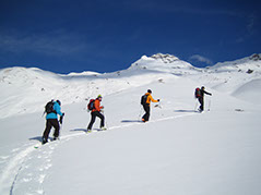 Skitouren-Abteilung